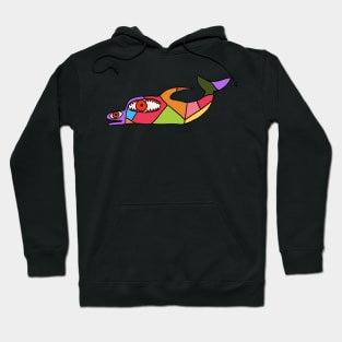 Patchwork Dolphin Hoodie